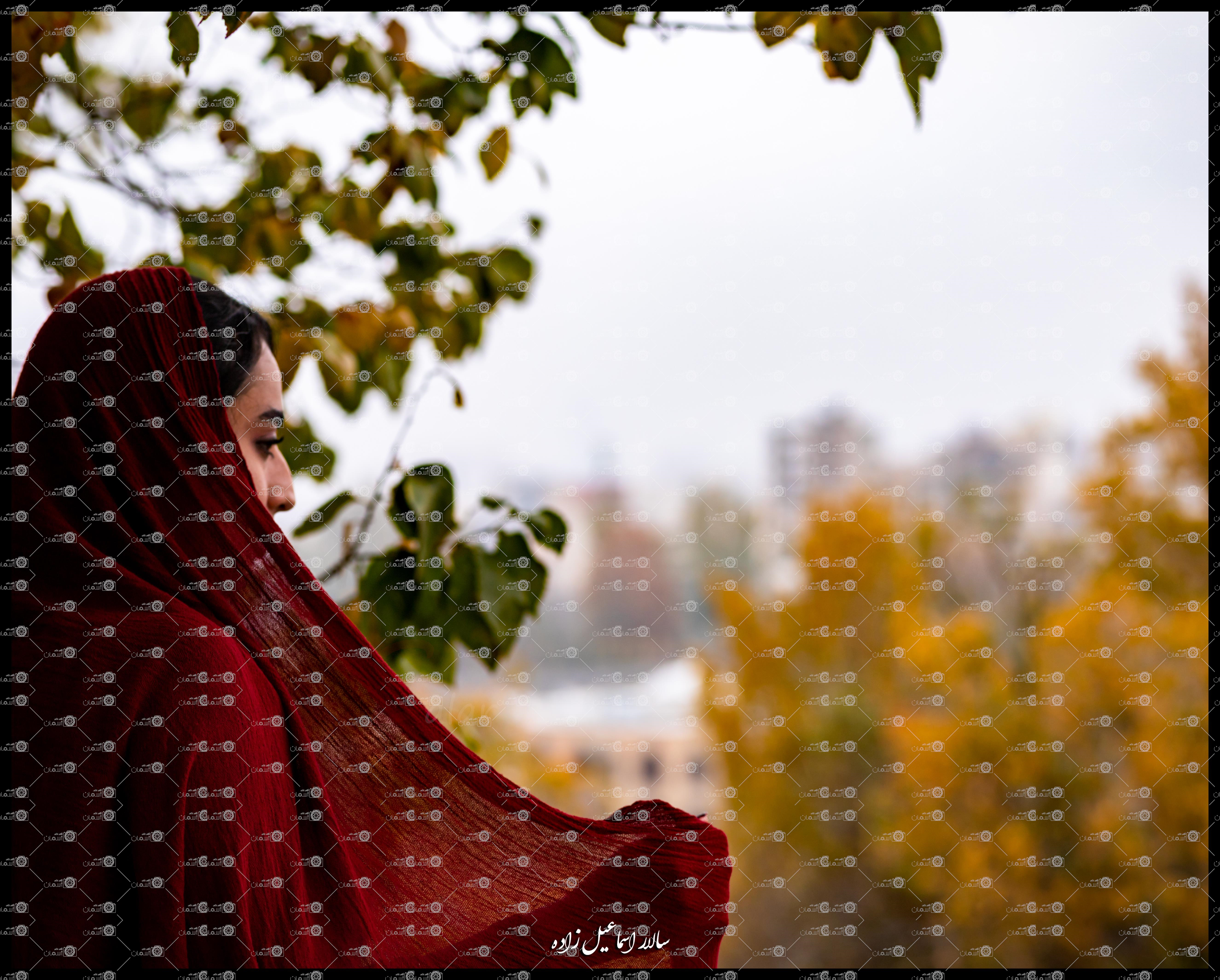 پرتره در شاهگلی