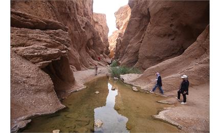 دره گردشگری جنی طبس