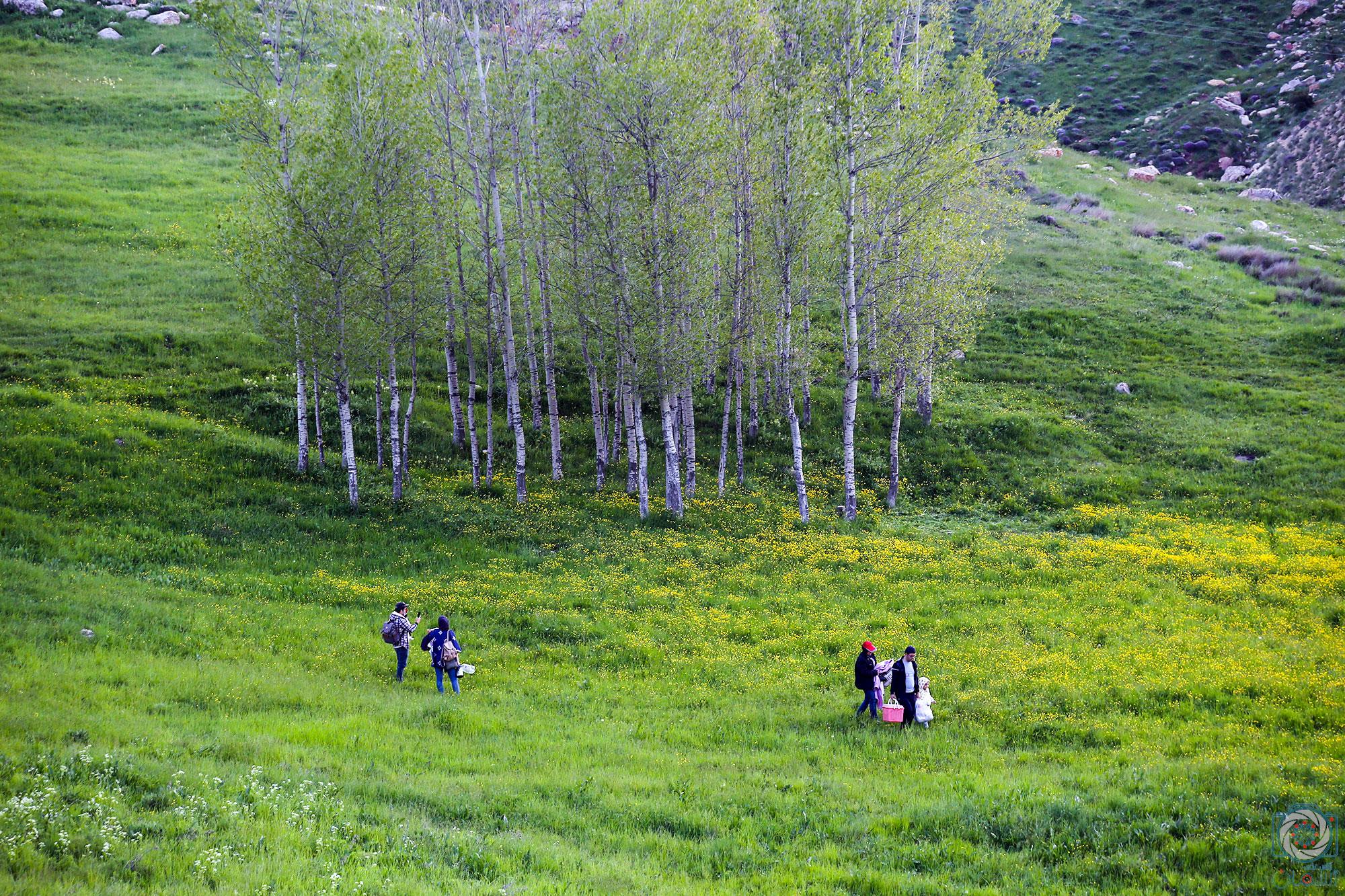 گردشگری آغ داش