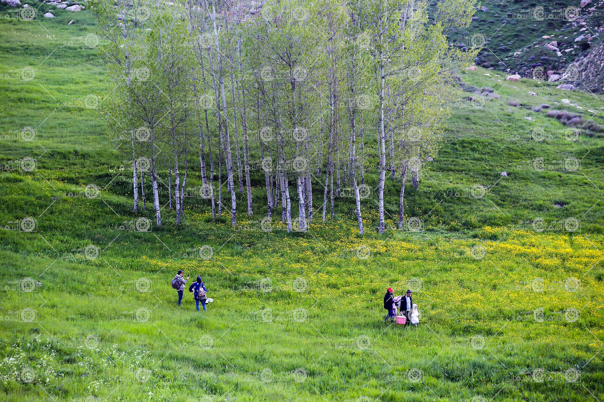 گردشگری آغ داش